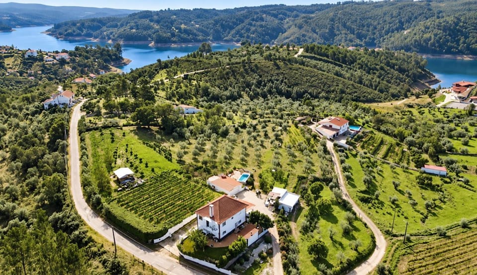 Lake view