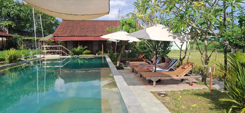 Balcony/Terrace, Swimming pool, sunbed