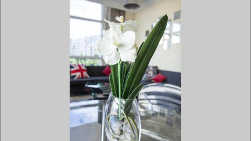 Luxueux Appart Au Triangle D'Or Casablanca Apartment in Casablanca