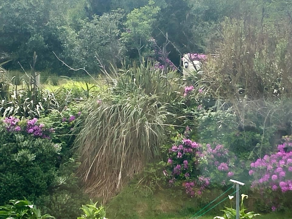 Garden, Garden view