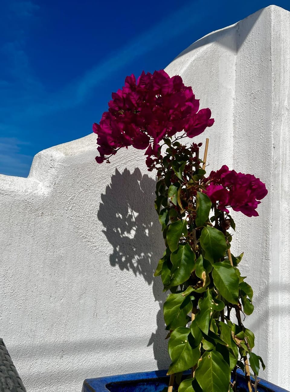 Casa San Miguel Apartment in Estepona