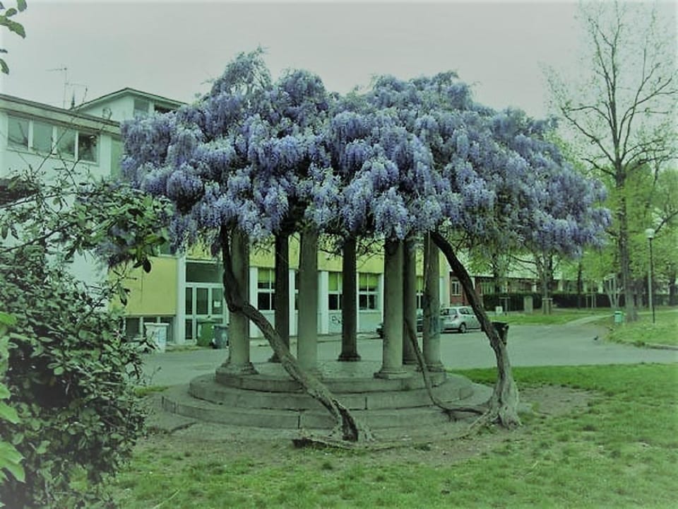 Neighbourhood, Natural landscape