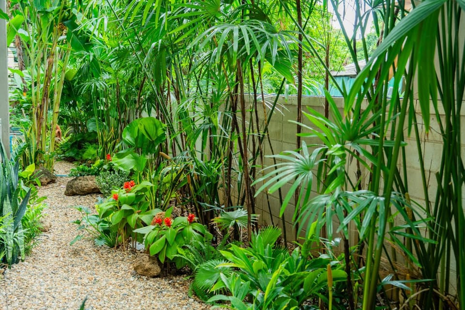 Garden, Garden view