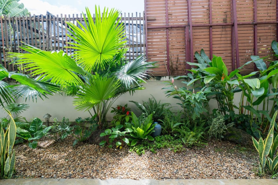 Garden view
