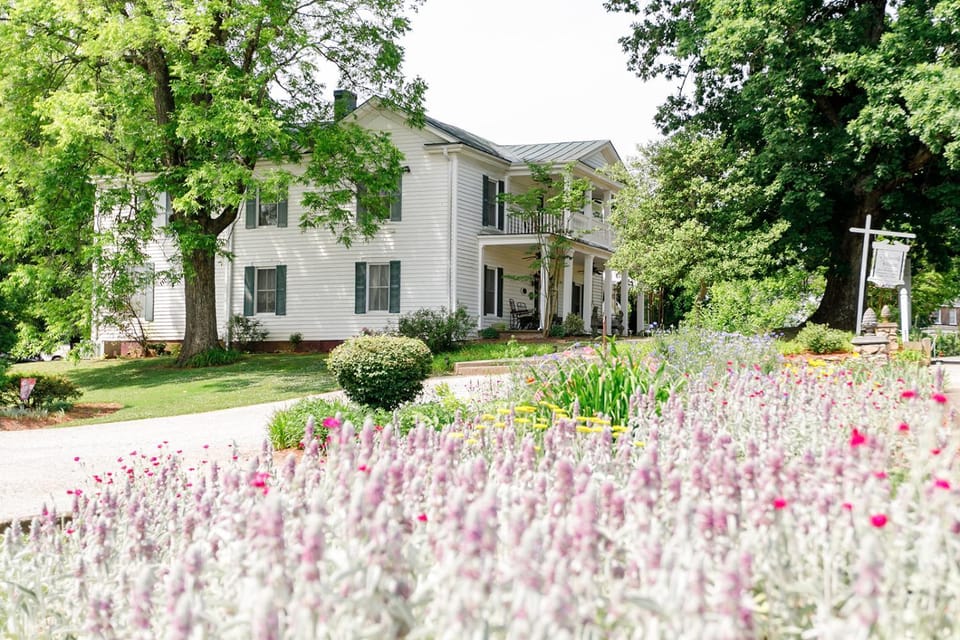 Garden, Garden view