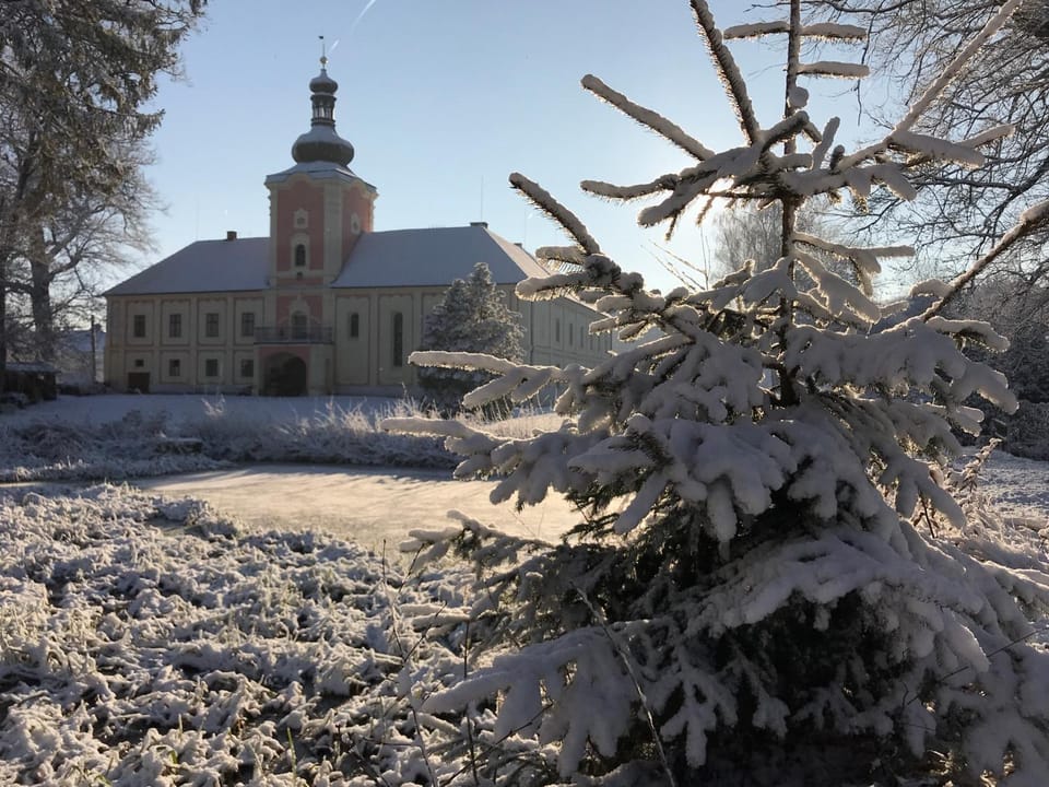 Property building, Winter