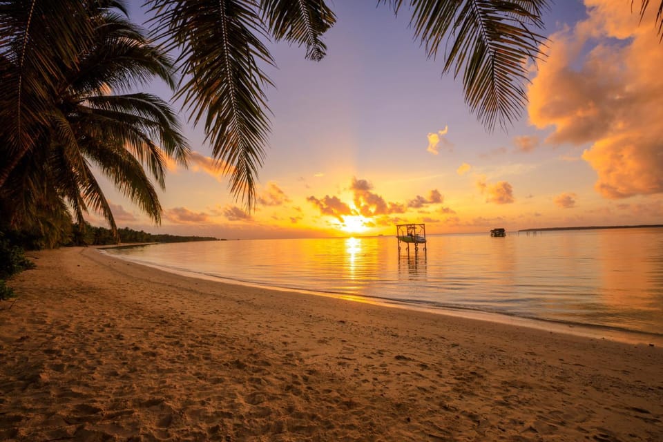 Natural landscape, Beach, Sunrise