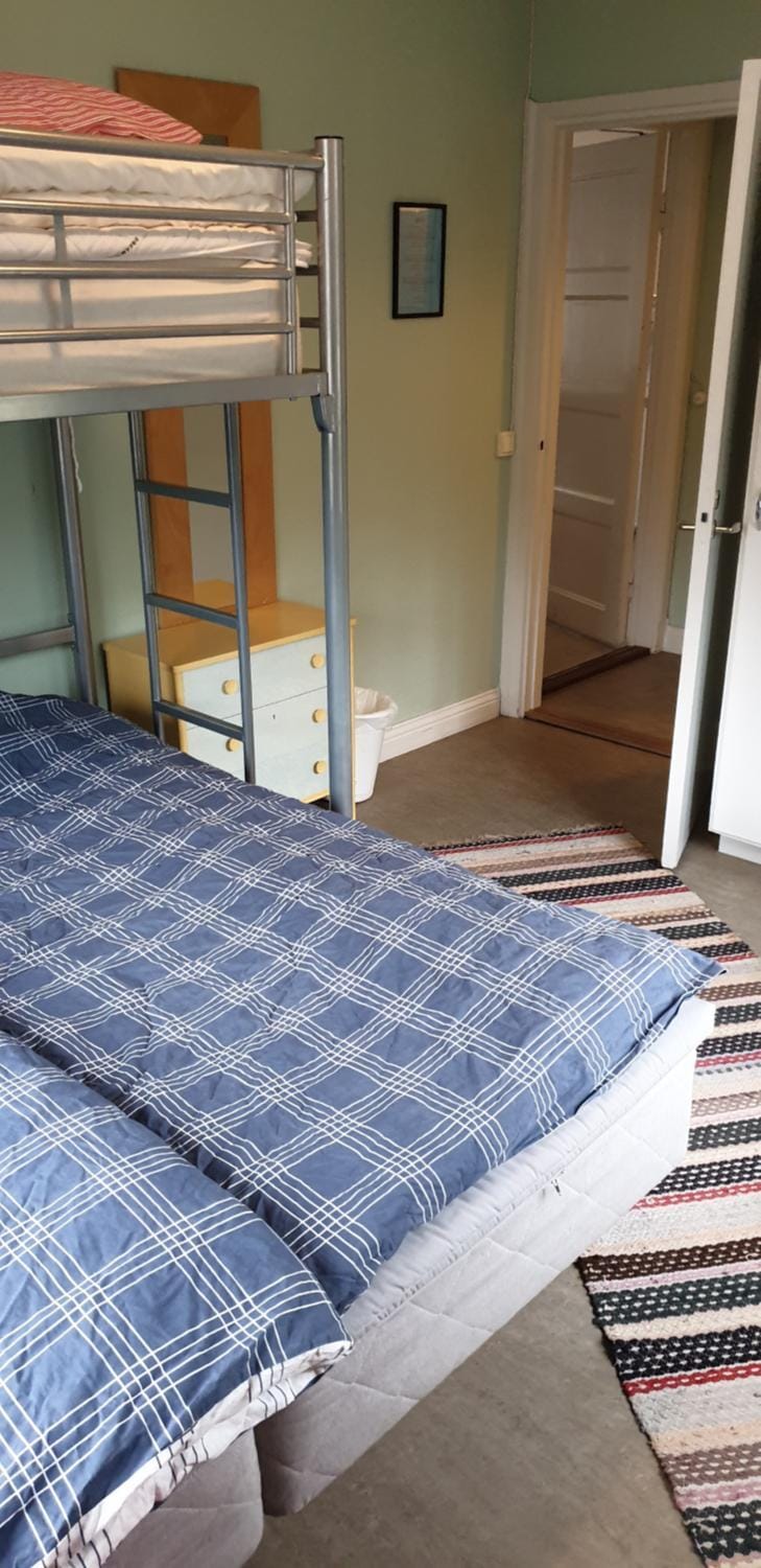 Bed, Photo of the whole room, bunk bed