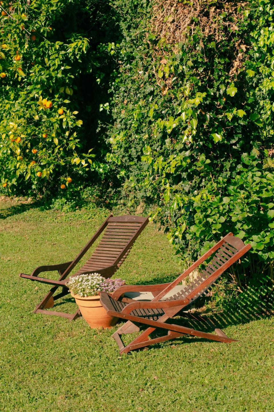 Off site, Area and facilities, sunbed