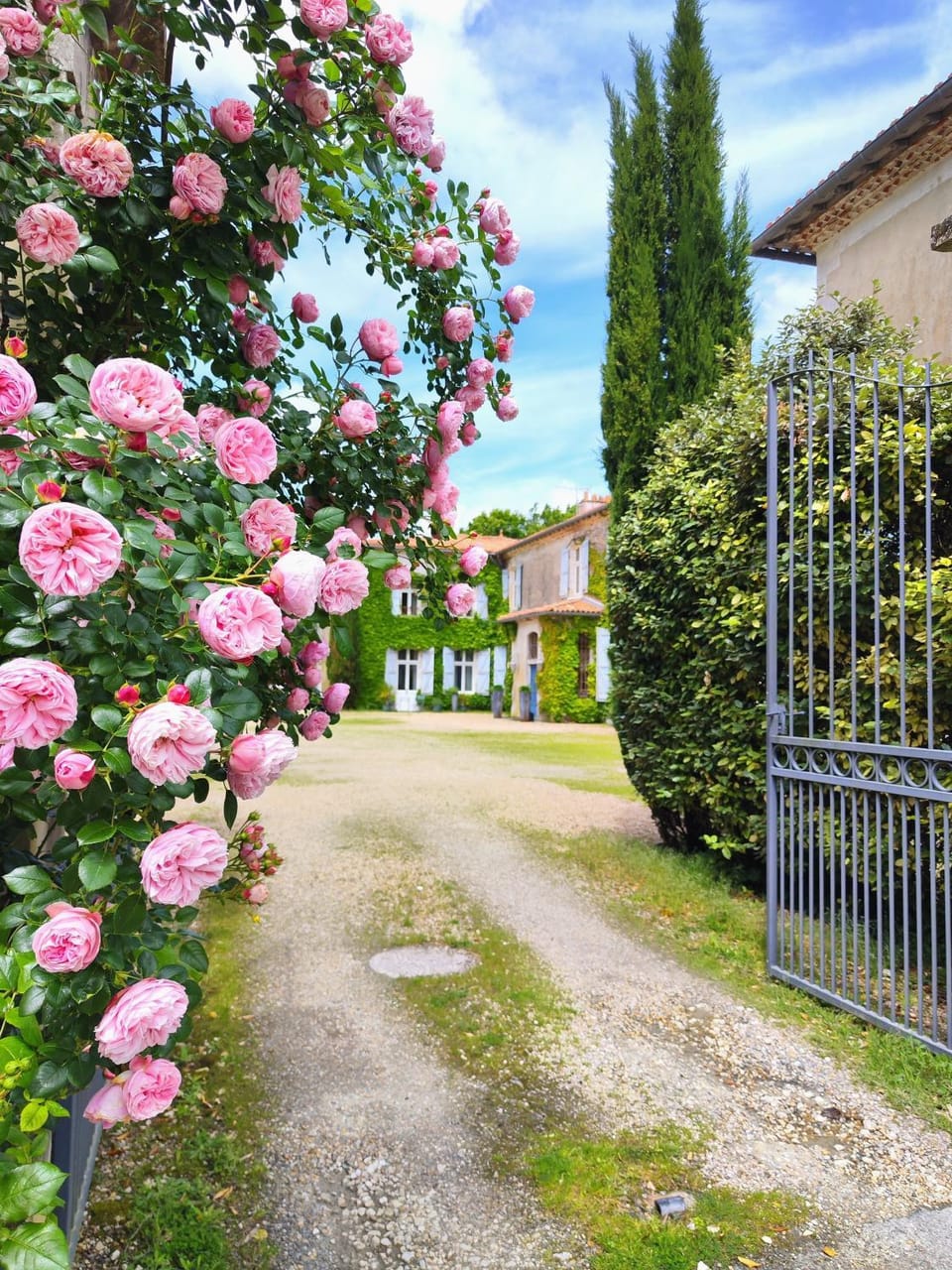 Garden, Garden, Parking