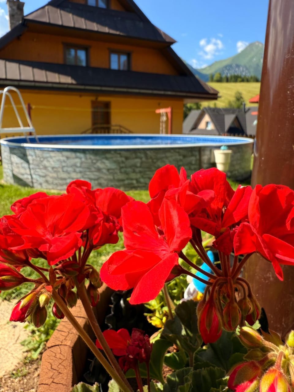 Garden, Pool view, Swimming pool, Swimming pool