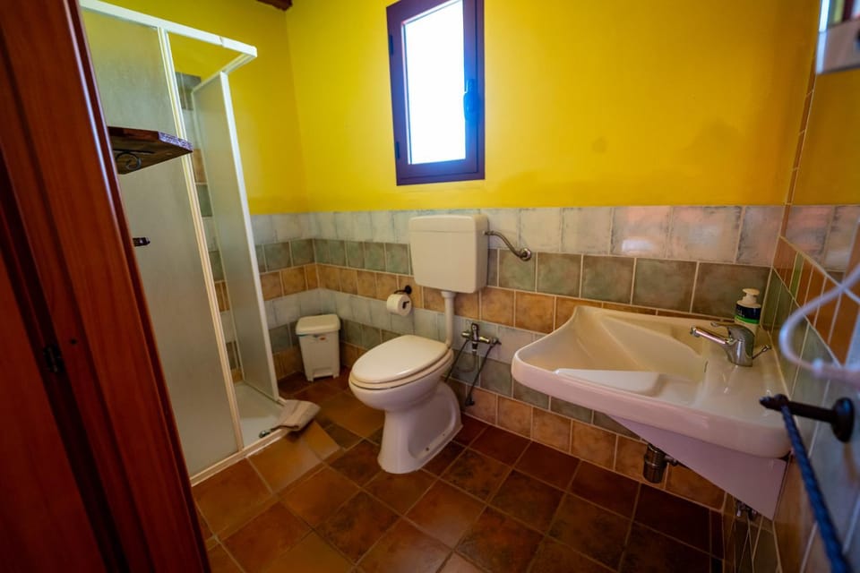 Shower, Toilet, Bathroom, bidet, towels