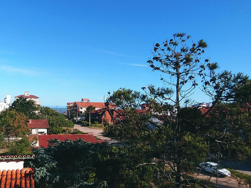 Natural landscape