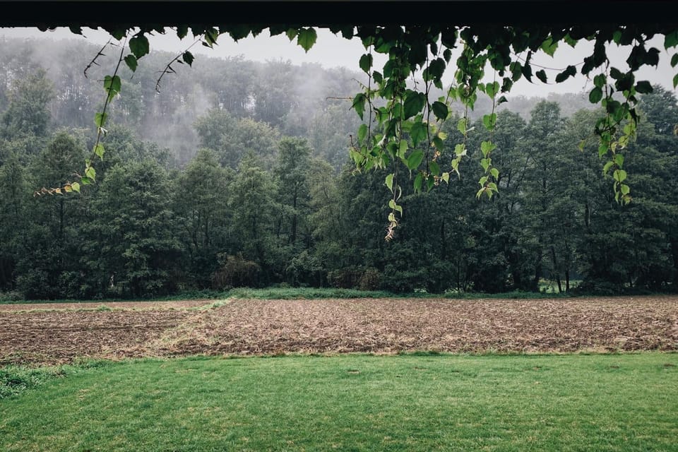 Garden, Garden view