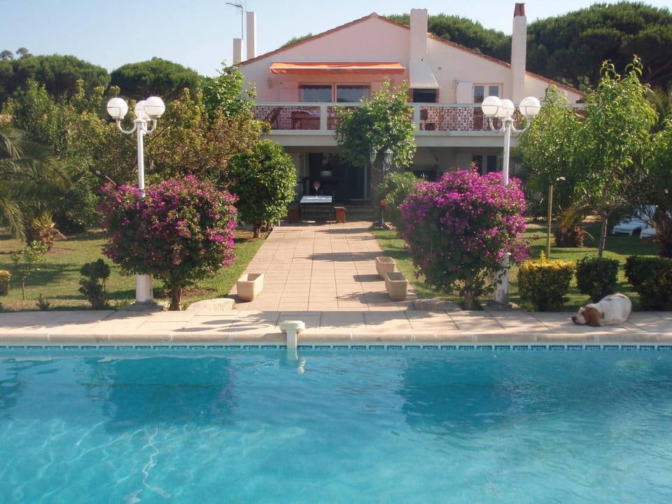 Pool view