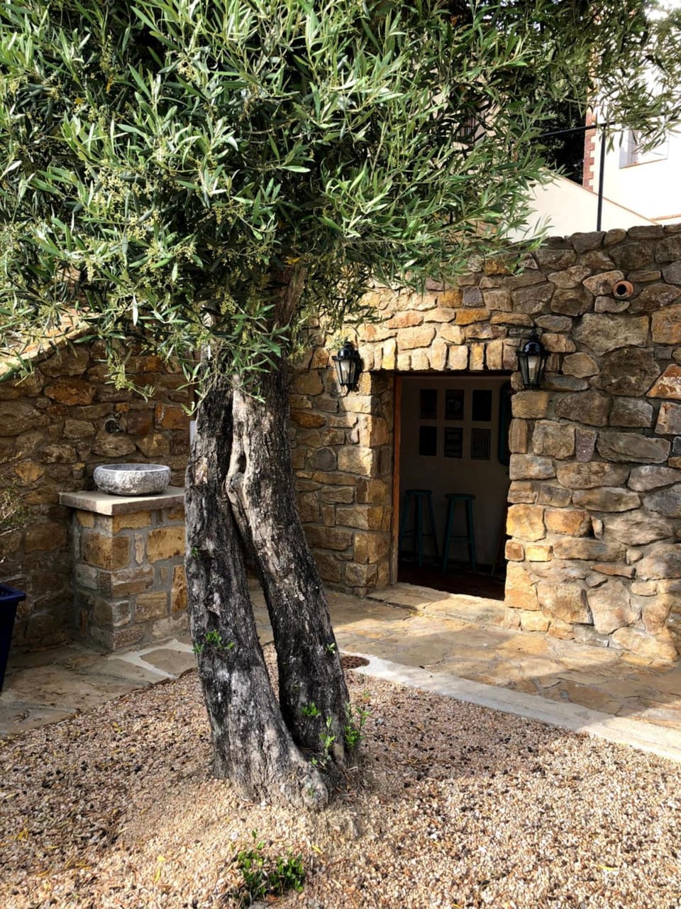 Patio, Garden, Lounge or bar, Swimming pool