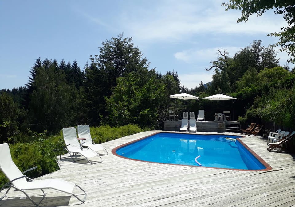 Garden, Swimming pool