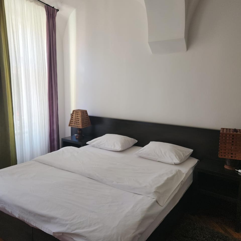 Christa Central 1 Apartment in Sibiu