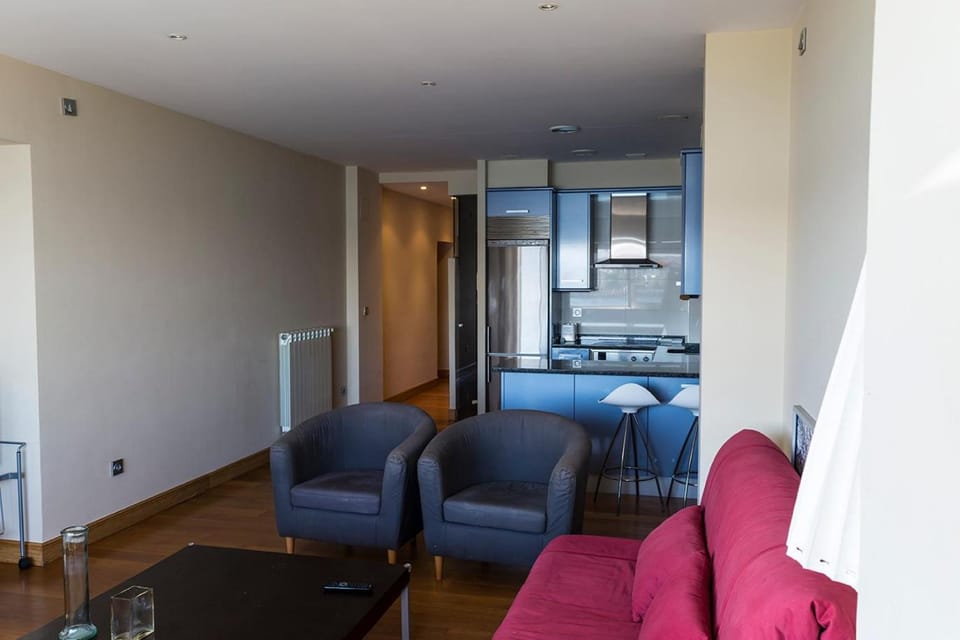 Paseo Butrón by Basquelidays Apartment in Basque Country