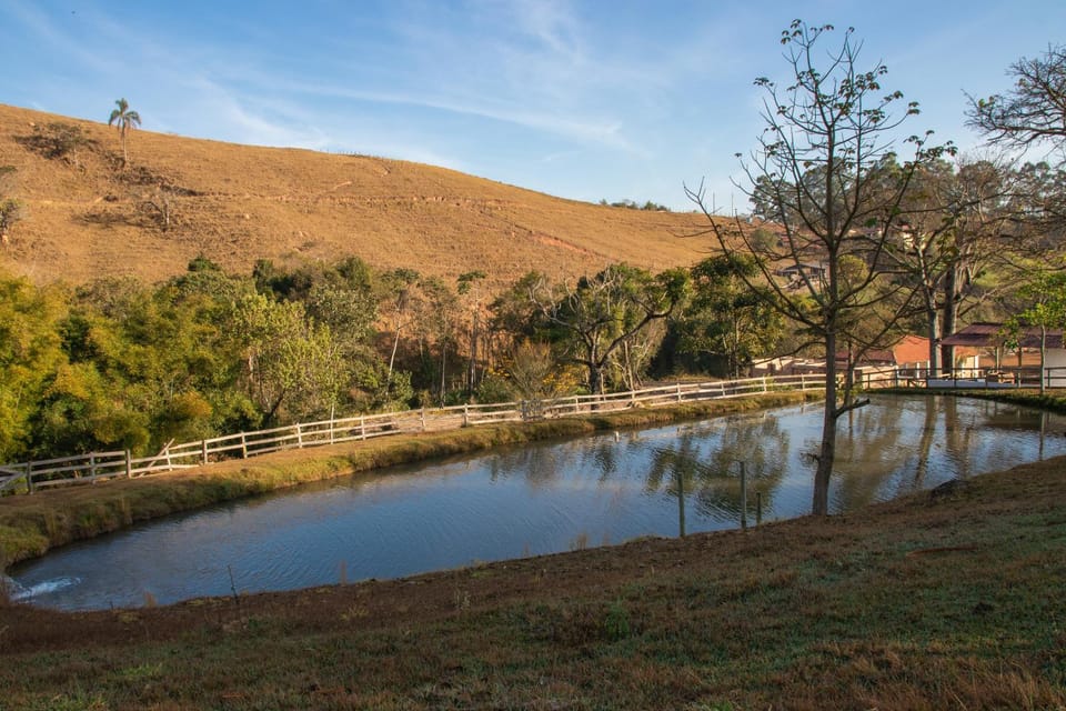 Lake view