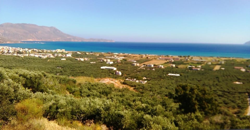 View (from property/room)