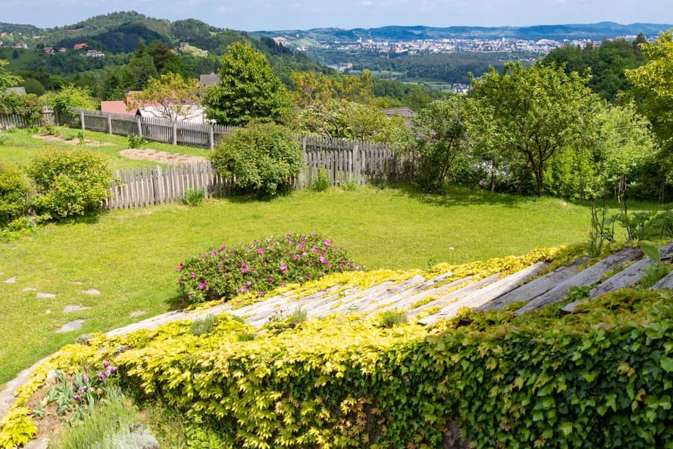Natural landscape, Garden view