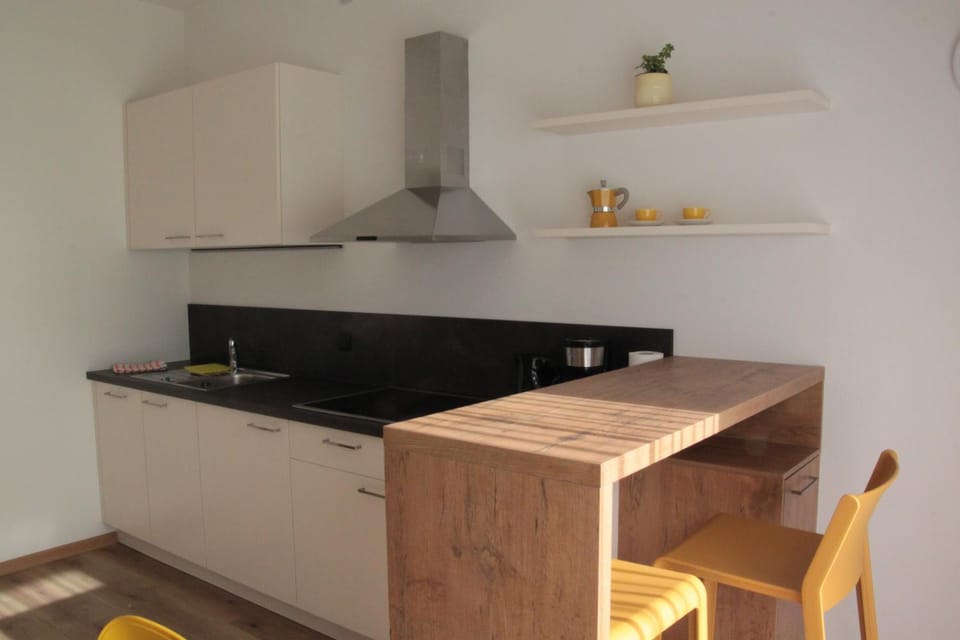 Kitchen or kitchenette, kitchen