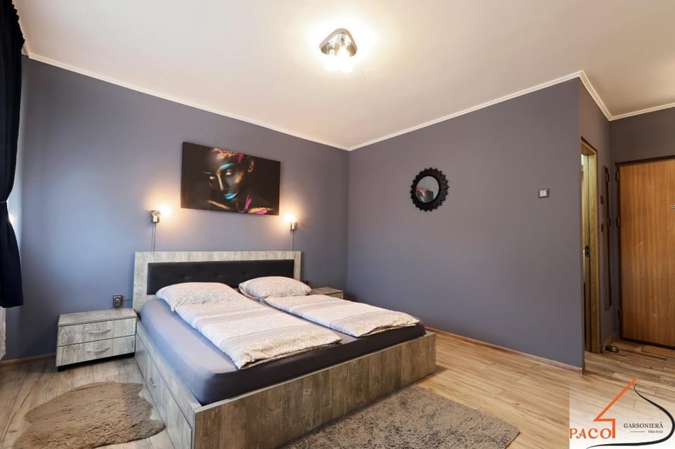 Garsoniera Paco Baile Felix Apartment in Hungary