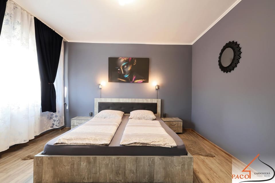 Garsoniera Paco Baile Felix Apartment in Hungary