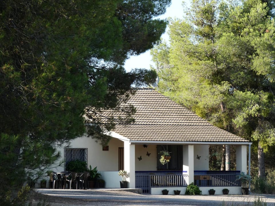 Property building, Off site, Garden