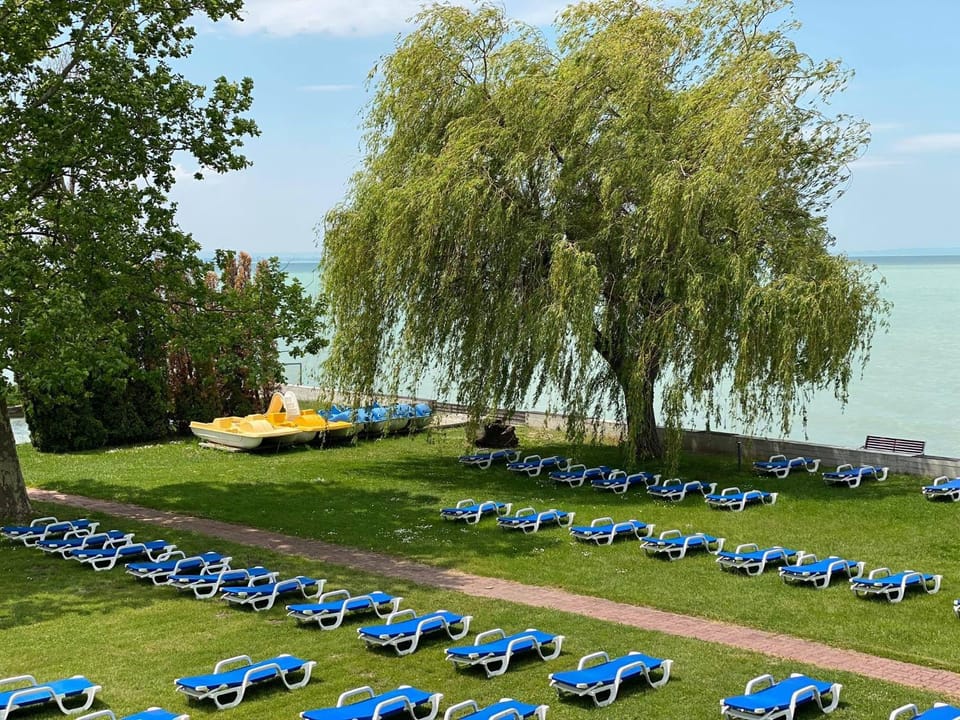 Day, Garden, Beach, Lake view, Open Air Bath, sunbed