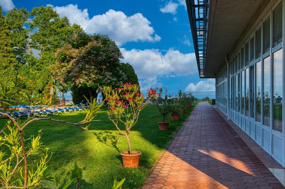Day, Garden, Lake view