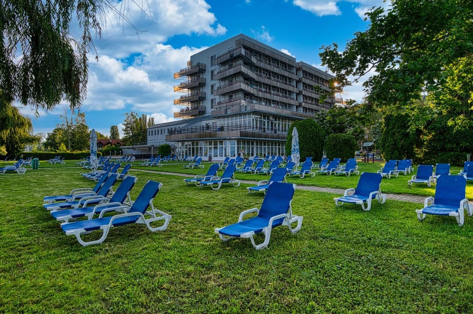 Property building, Garden, sunbed
