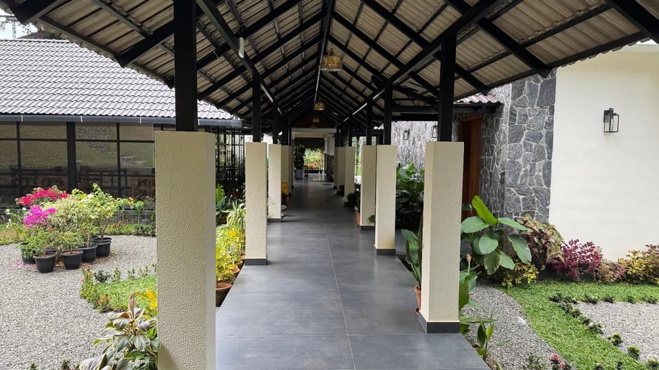 Patio, Day