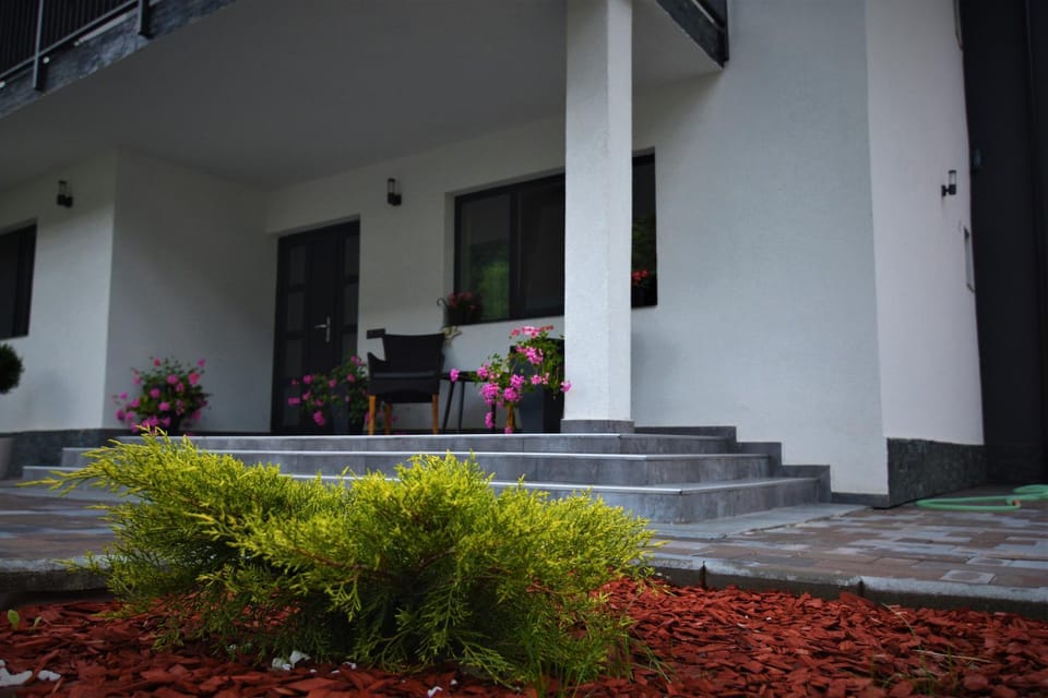 Casa AQUARIUS Bed and Breakfast in Romania