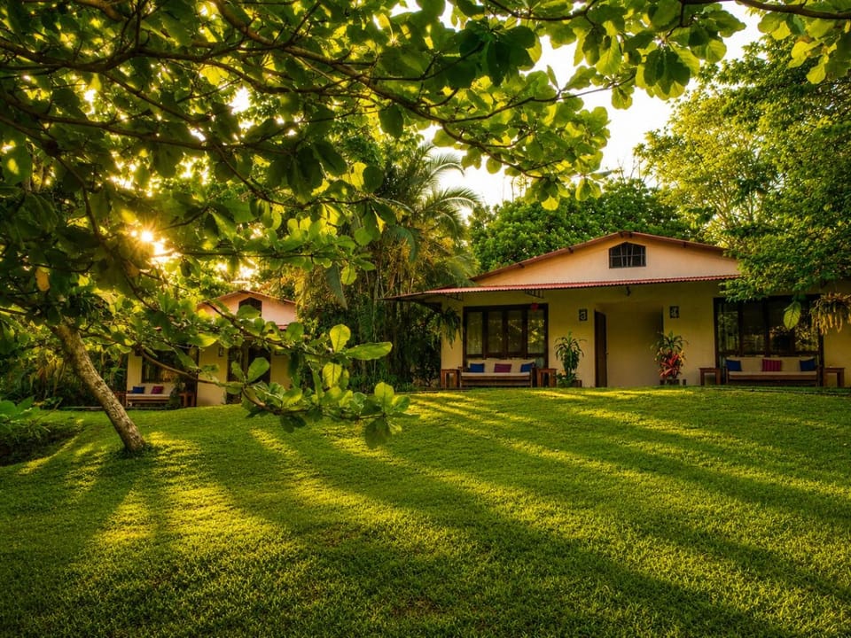 Property building, Day, Natural landscape, Garden, Garden view