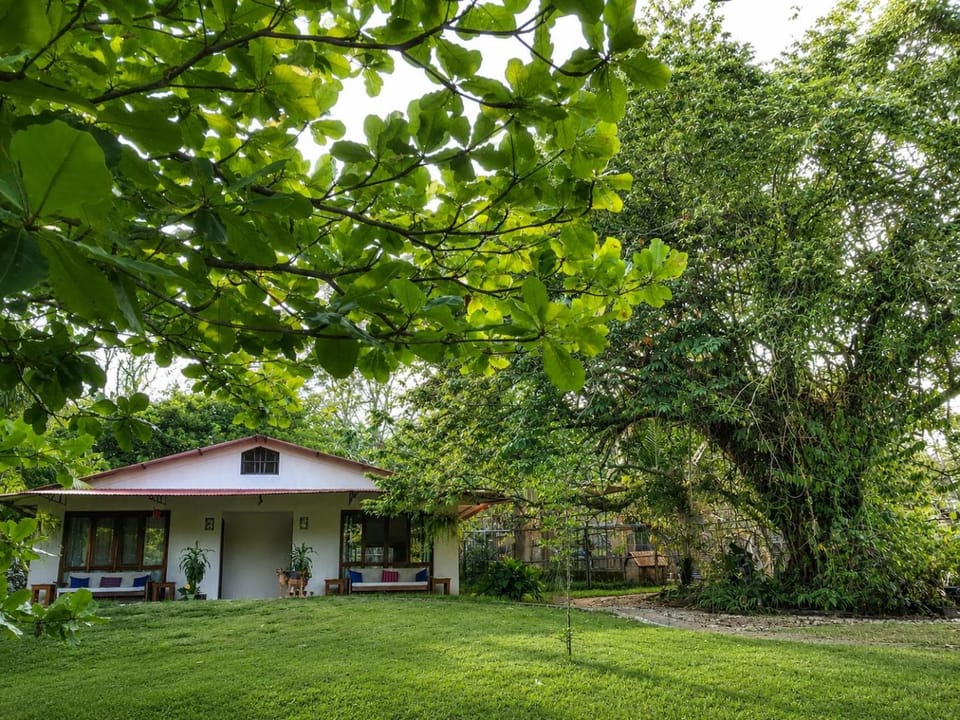Property building, Day, Natural landscape, Garden, Garden view