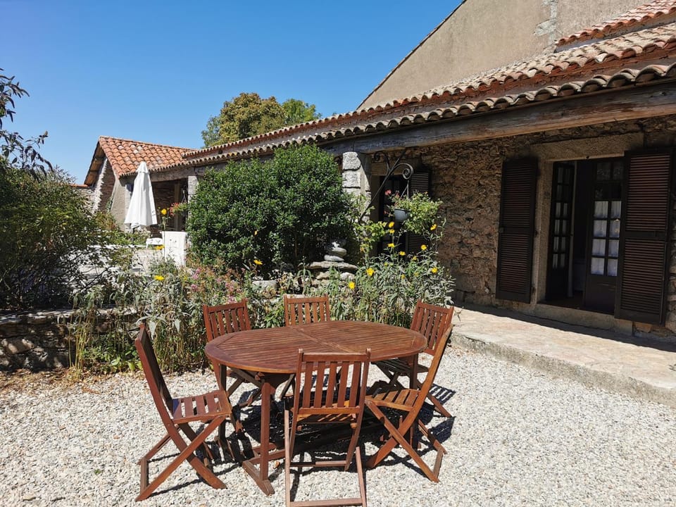 Garden, Balcony/Terrace