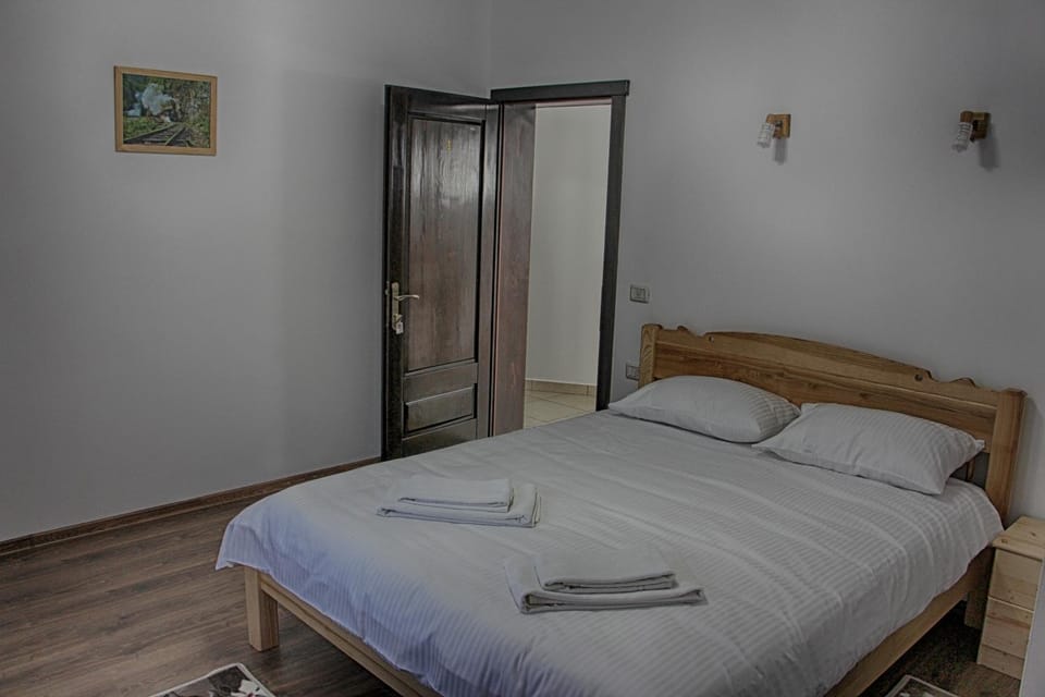 Pensiunea Vila Flavis Bed and Breakfast in Romania