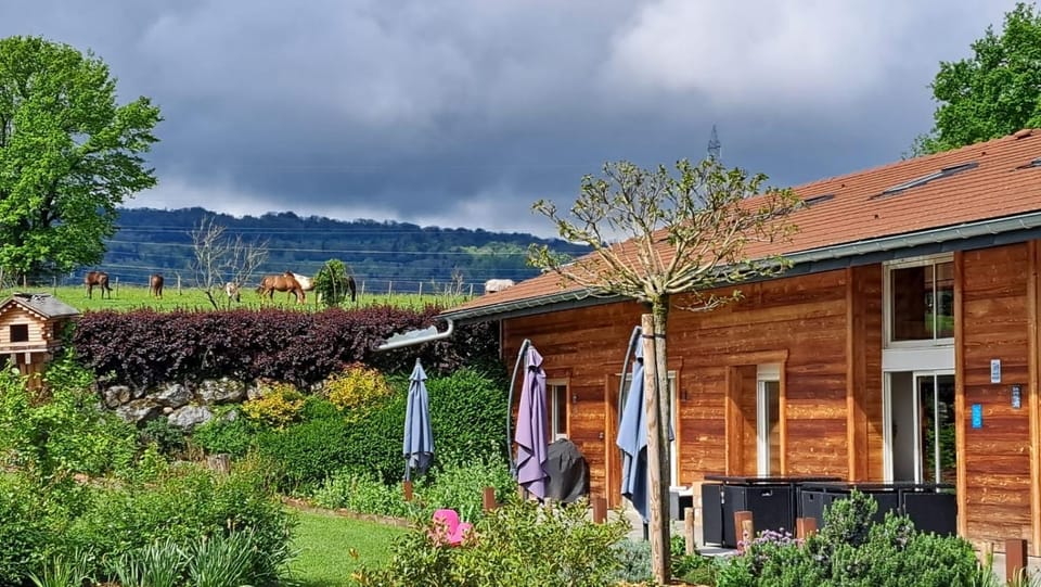 Property building, Garden view