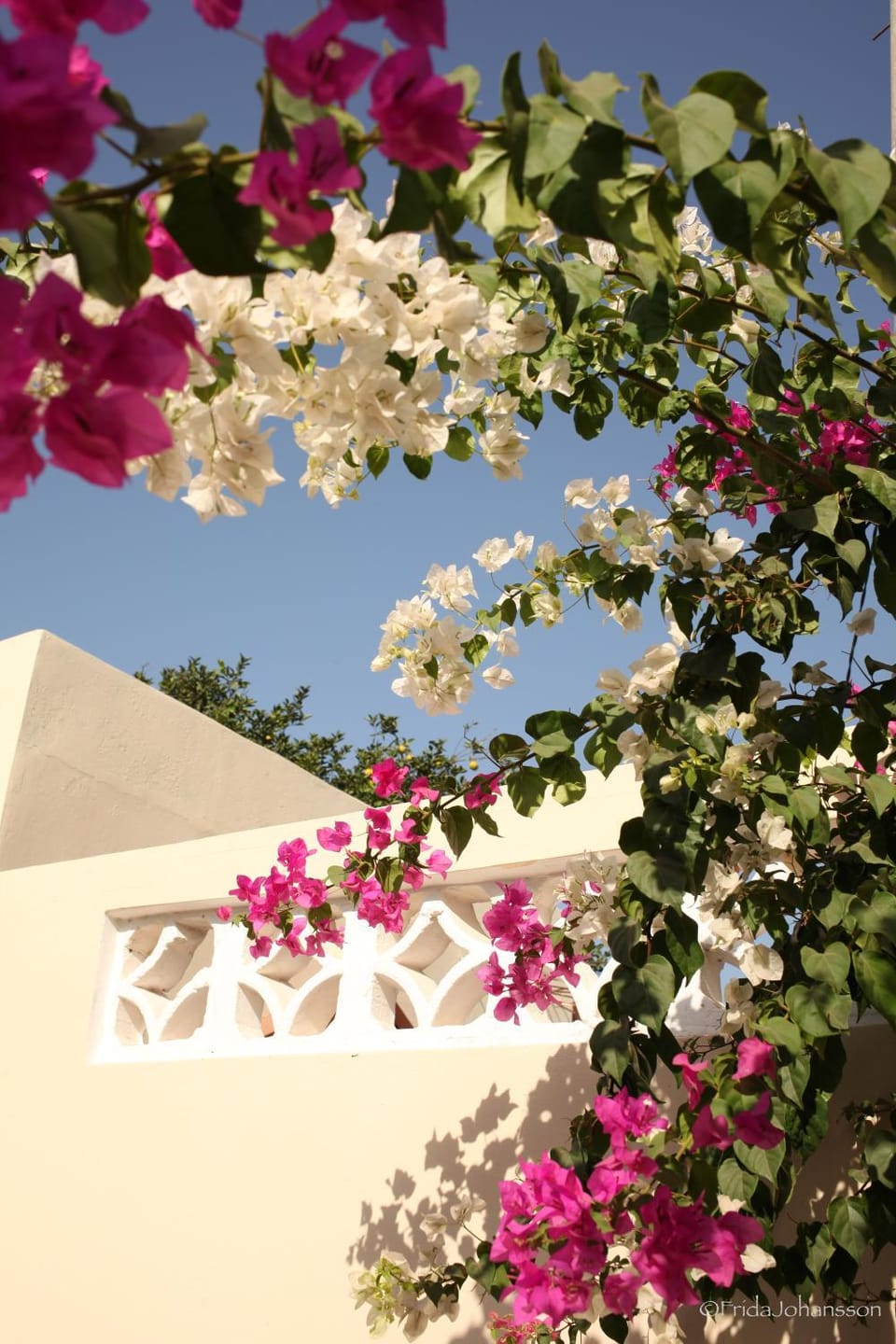 Dabo House Hotel in Senegal