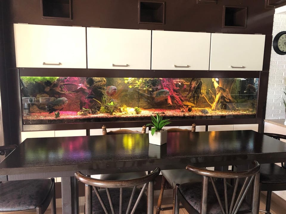 Hademarscher Hof Hotel in Schleswig-Holstein