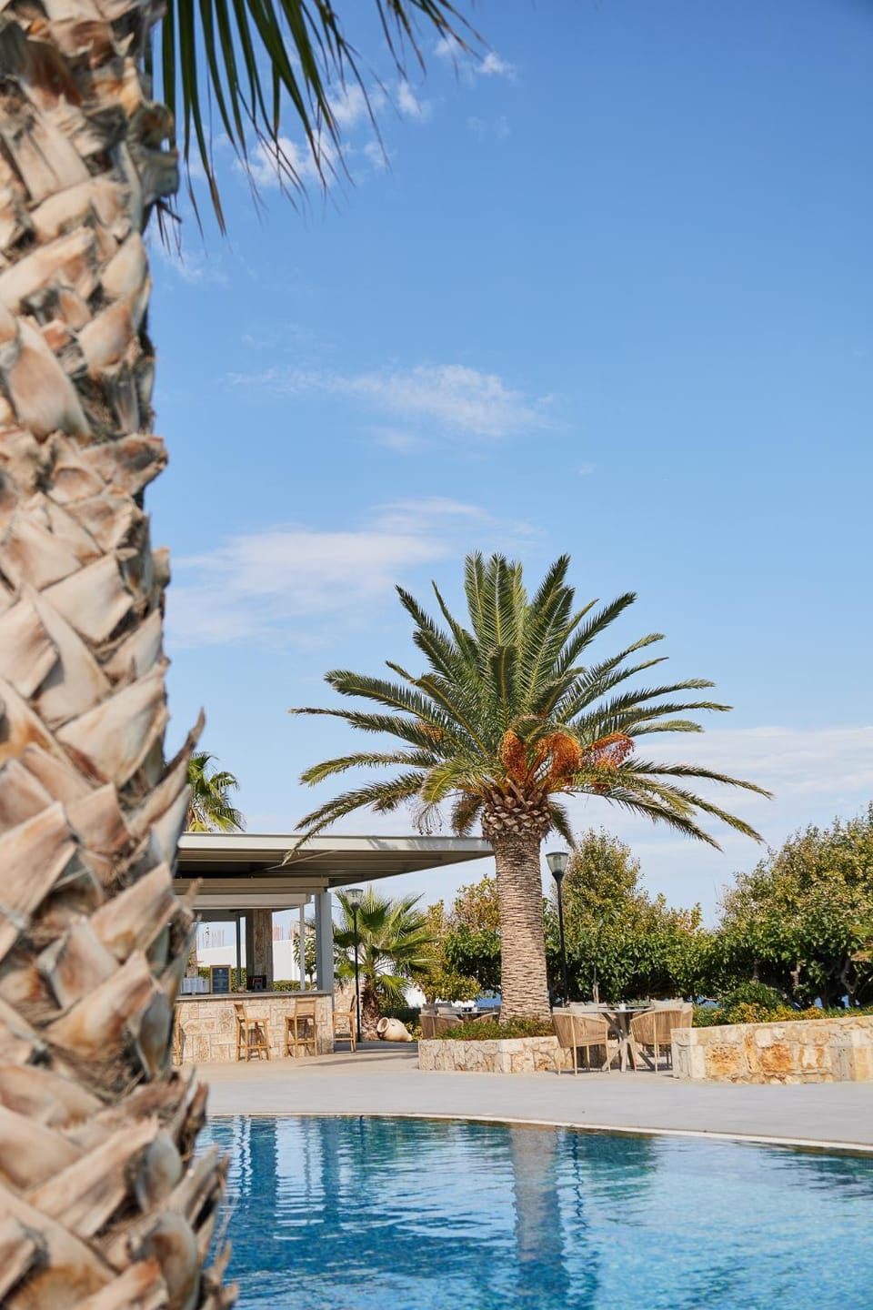 Skiros Palace Hotel Hotel in Euboea