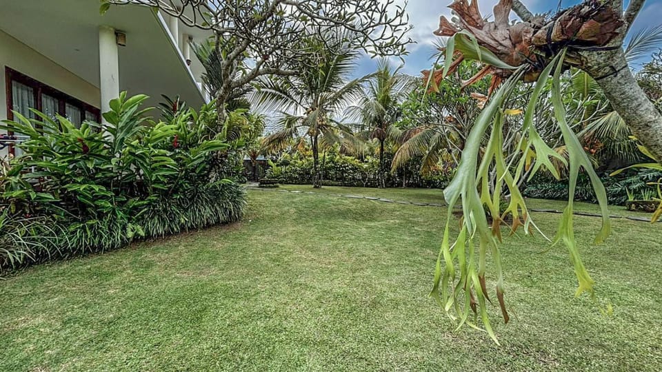 Spring, Day, Natural landscape, Garden, View (from property/room), Garden view