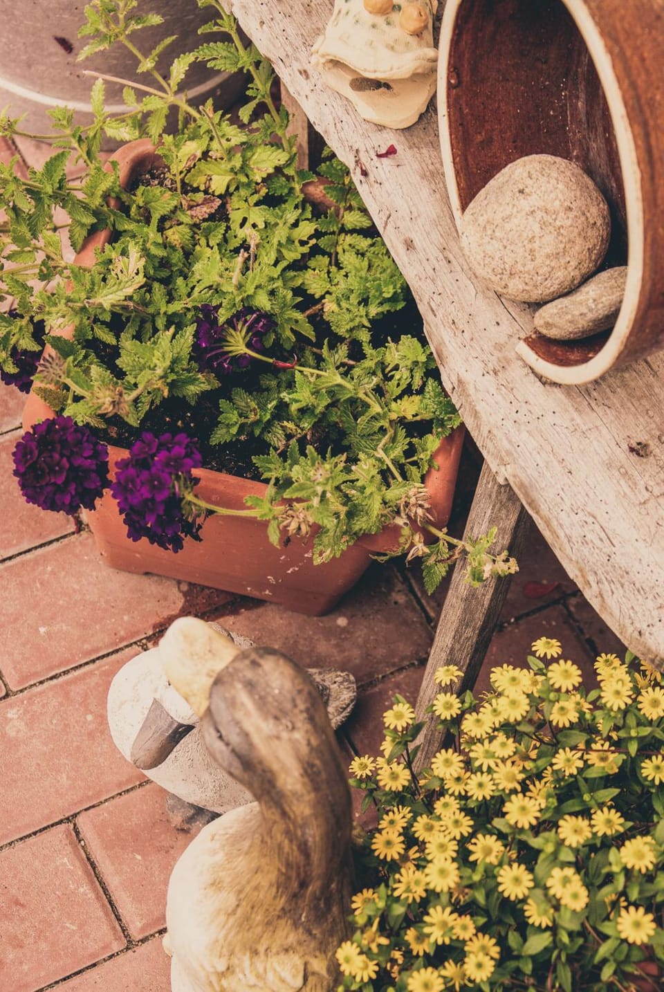 Garden, Decorative detail