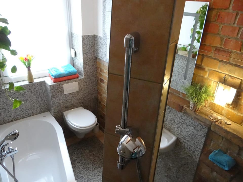 Shower, Toilet, Bathroom, Bath