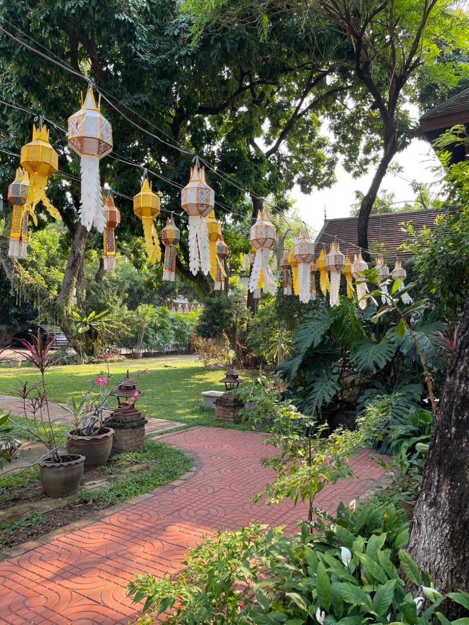 Natural landscape, Garden