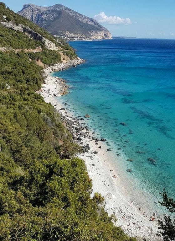 Natural landscape, Beach