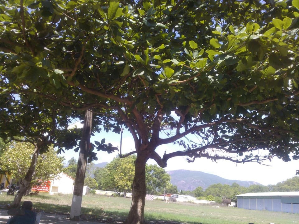 Nearby landmark