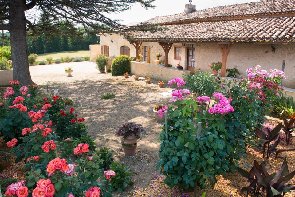 Property building, Patio, Garden